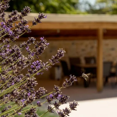 Perla Balaton * Csopak